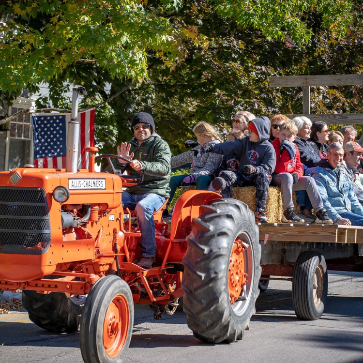 Hayrides WEB